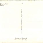 Constantine, Souk-Ahras, Rue Cheikh Benbadis