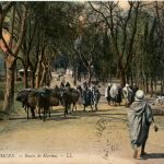 Tlemcen, Route de Marina