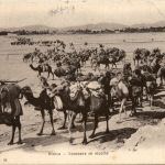Biskra, Caravane en marche