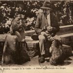 Blida, Gorges de la Chiffa, A L`Hotel du Ruisseau des Singes