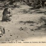 Blida, Gorges de la Chiffa, Familiers du Ruisseau des Singes