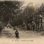 Blida, Avenue de la Chiffa