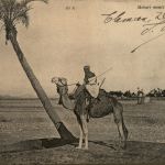 Algerien sonstige, Mehari monte par un Targui