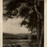 Bielersee