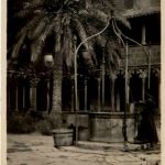 Palma de Mallorca - Claustro de San Francisco