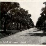 Lobito - Catumbela - Angola