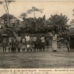 Cameroon - Missions des PP du Saint Esprit