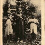 Cameroun - Yaounde