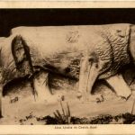 Damas - Lion hittite de Cheikh Saad