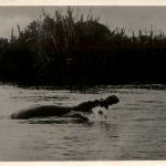 Kenya Uganda Tanganyika