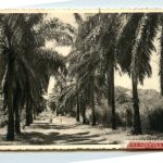 Kindu - Congo