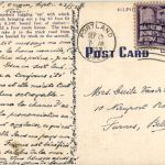 Modern Logging Tractor at Work