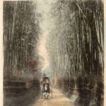 Kioto - Bamboo Grove