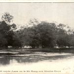 Laos - Me Kong - La foret noyee