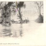 Laos - La foret noyee