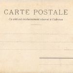 Laos - La foret noyee