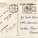 Thailand - Elephants