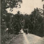 Luang Prabang - Laos