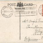 Bermuda - Springfield