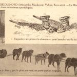 Le Missionaire - Traineau a chiens