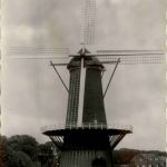 Hulst - Stads Molen