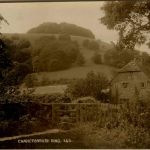 Chanctonbury Ring