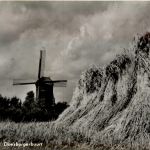 Ede - Molen Doesburgerbuurt
