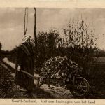 Noord Brabant - Kruiwagen