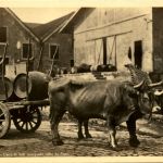 Porto - Carro de bois