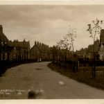 Chestnut Grove