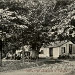 Gruss vom Waldkater bei Eldagsen