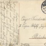 Gruss vom Waldkater bei Eldagsen