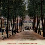 Montlucon, Un coin de lÀvenue Wilson et Gare