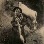 Type Bourbonnais, Vieille fileuse