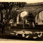 Saint-Paul, La Colombe dÒr`