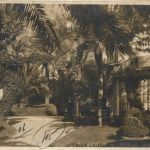 Beaulieu sur Mer, Le Jardin