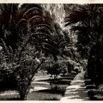 Beaulieu sur Mer, Jardins