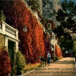 Beaulieu sur Mer, La Petite Afrique et le Boulevard Gordon Bennett Fleur