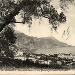 Beaulieu sur Mer, Vue generale prise entre les Oliviers