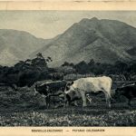 Nouvelle-Caledonie