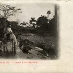 Cuba - Paisage Criollo