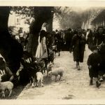 Kotor-Cattaro - NosnjaTrachten