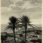 Madeira - Vila de Camara de Lobus