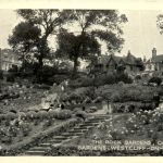 Westcliff on Sea - The Rock Gardens