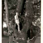 Overveen - Kraantje Lek