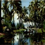 Tahiti