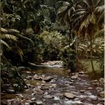 Saint Joseph Martinique