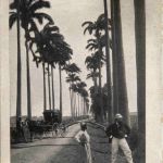 Martinique