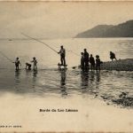 Bords du Lac Leman - Fishing