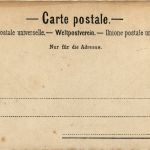 Bords du Lac Leman - Fishing